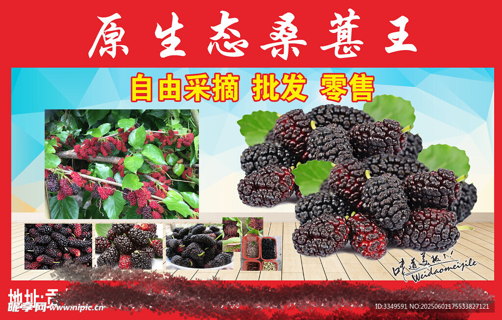 桑葚
