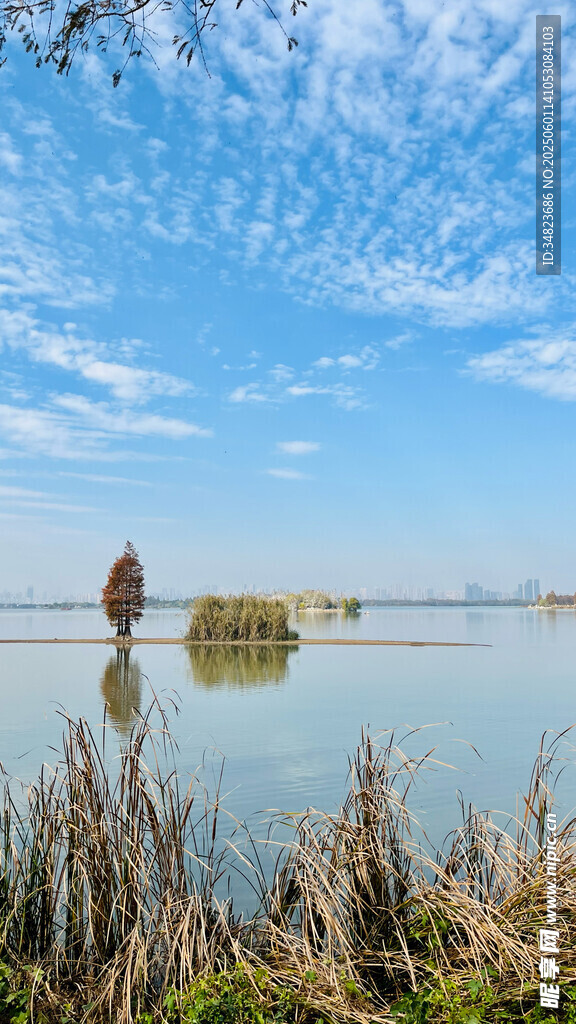 湖畔风光 宁静自然美景