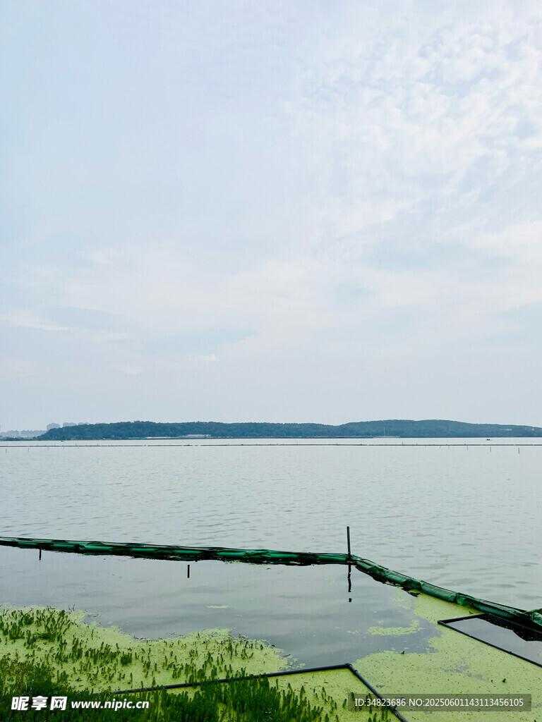 湖畔绿意盎然的宁静景致
