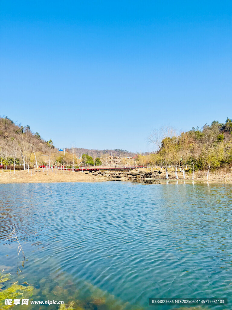 宁静湖畔风光
