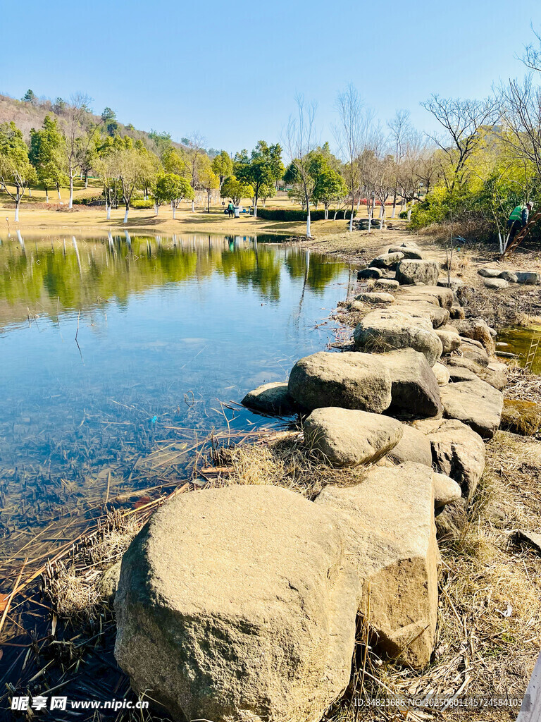 湖畔石景 自然宁静之美