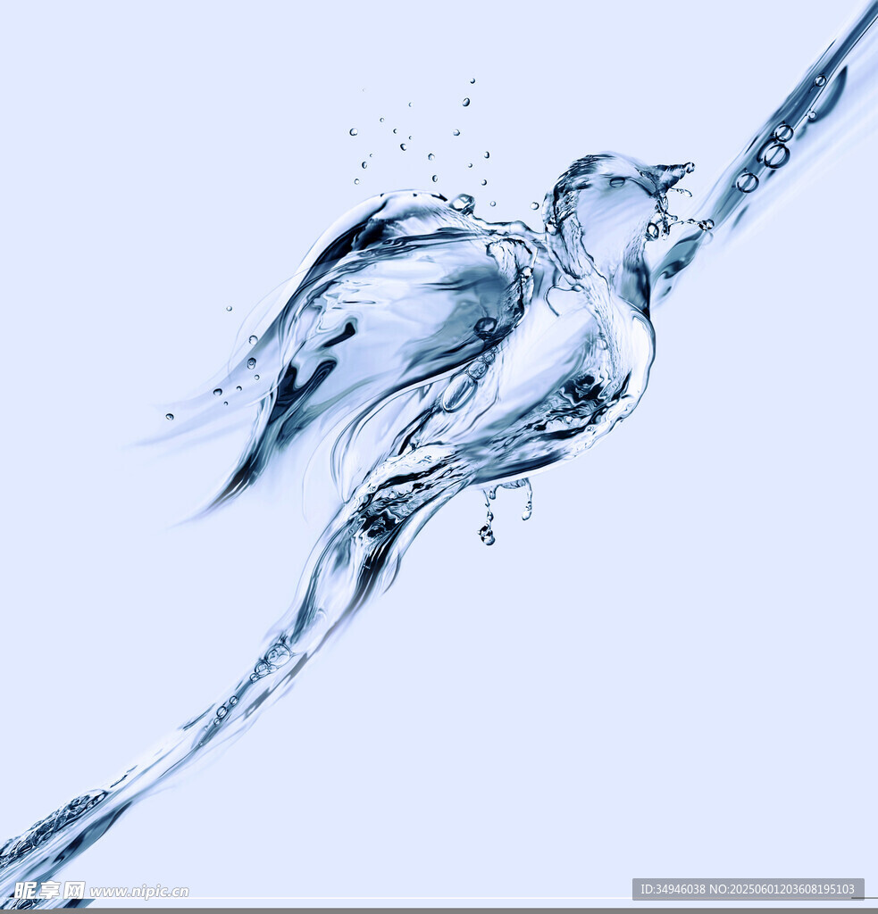 水之飞鸟灵动瞬间