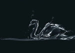 水花塑就的灵动天鹅造型