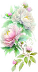 水彩绘粉色白色花卉图