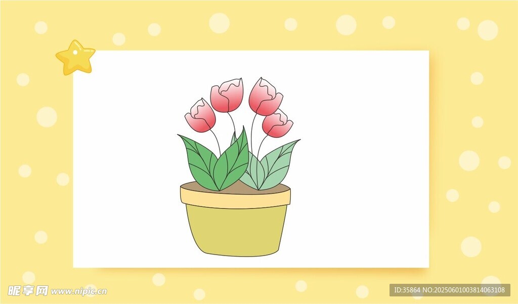 花盆中的粉色郁金香