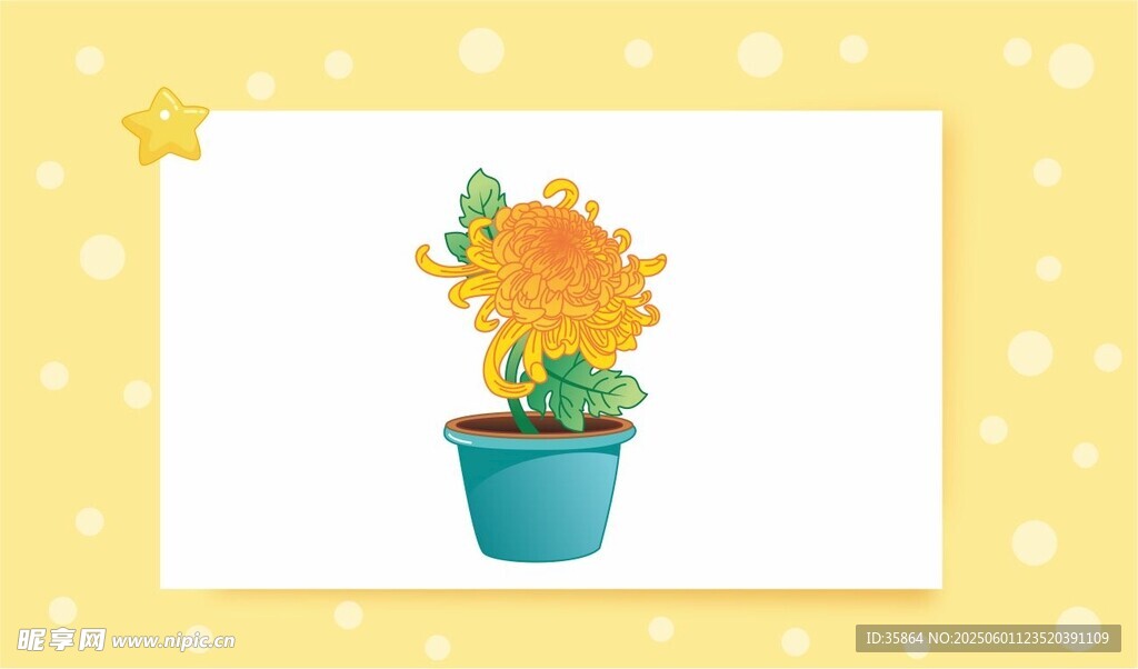 蓝色花盆中的灿烂花朵