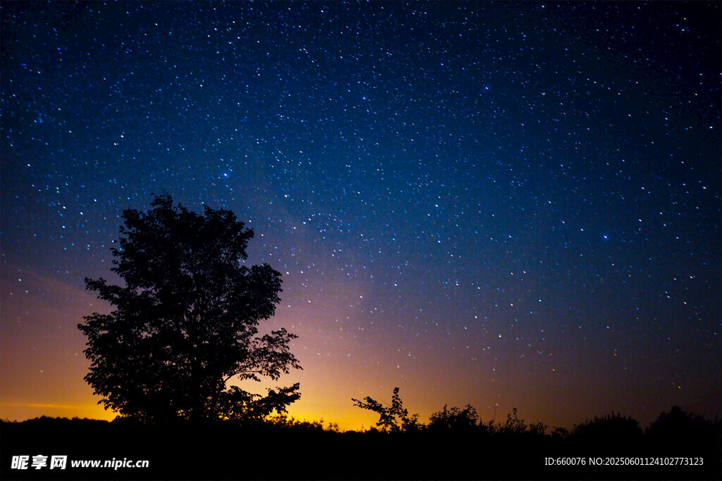夜幕下的树与璀璨星空