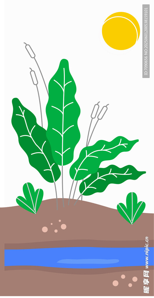 田园风光下的绿植与溪流
