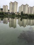 湖畔高楼倒影景观