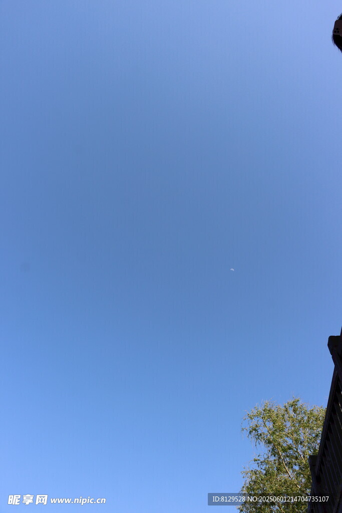 蓝天绿树屋顶景致