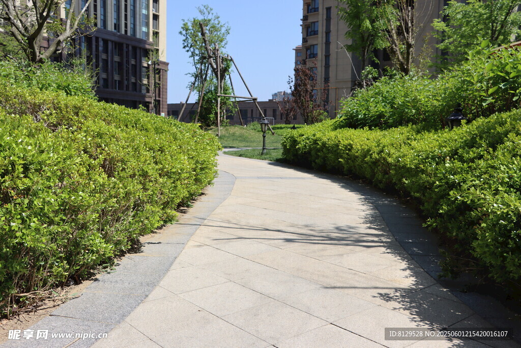 城市中的绿植小径