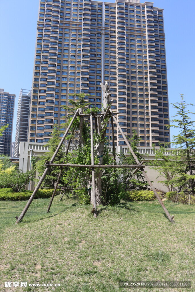 城市草坪上的木制秋千架