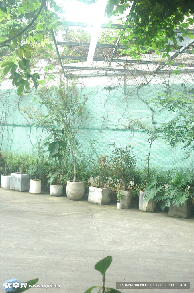 温室中的绿植盆栽景观