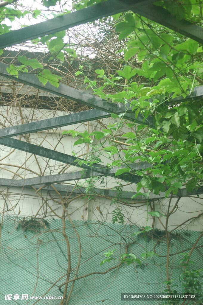 水下绿植与金属结构景观