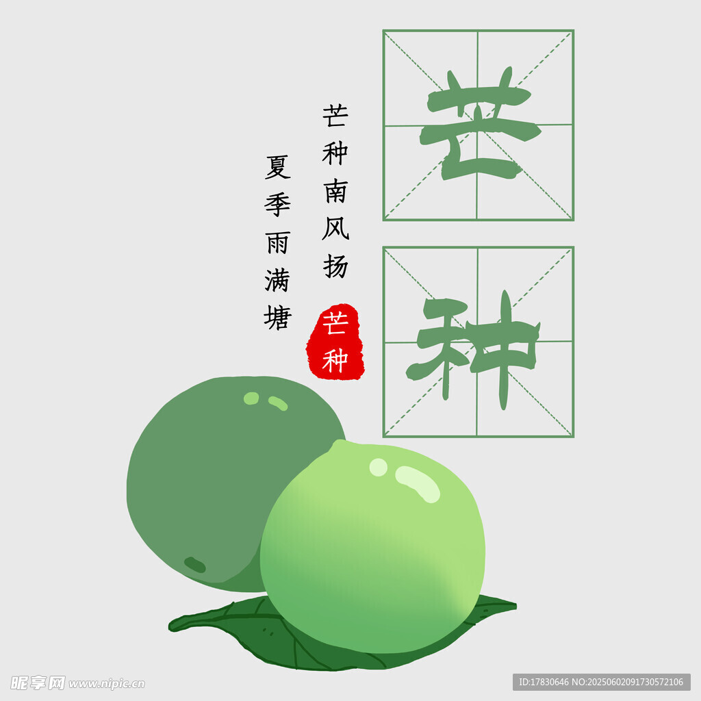 芒种