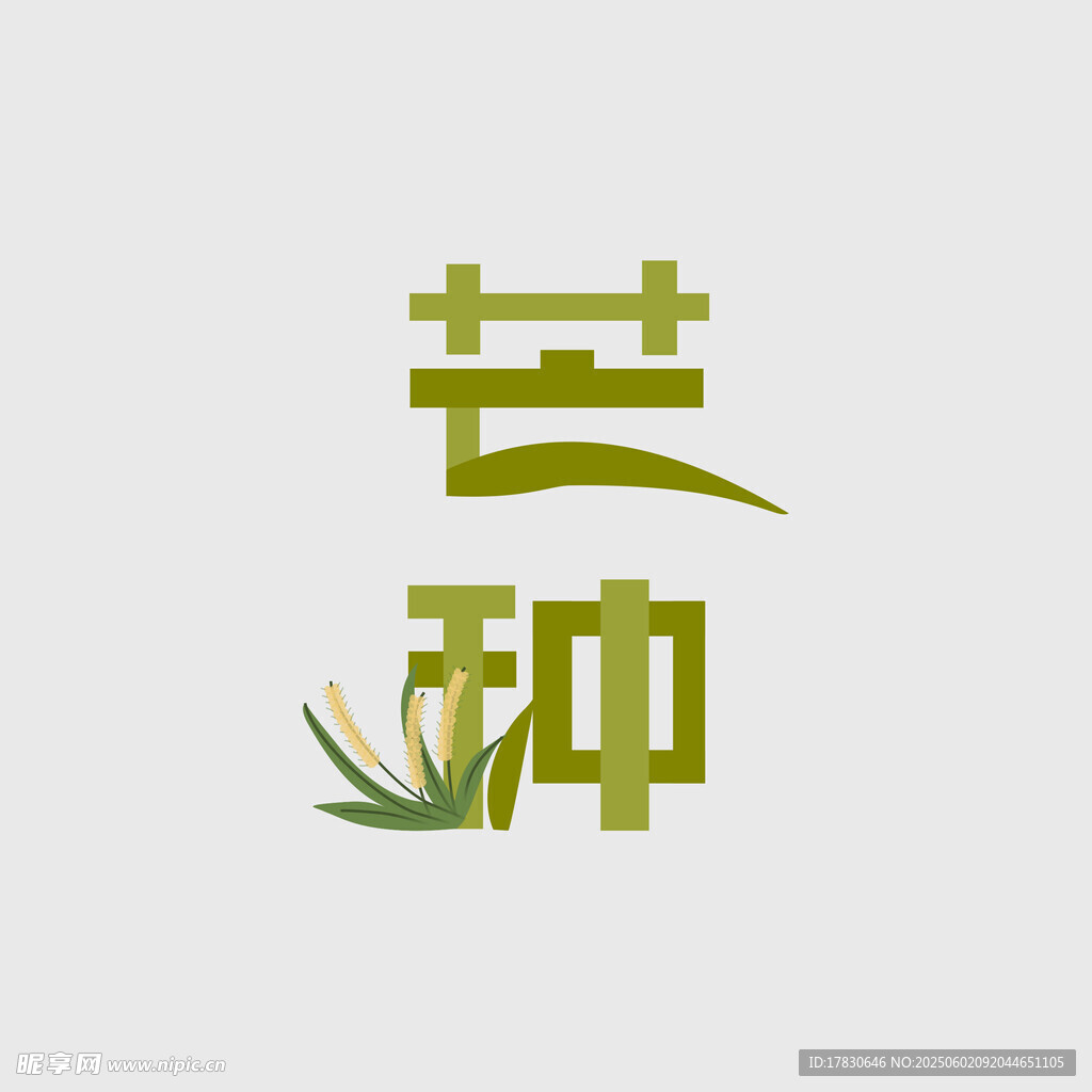 芒种