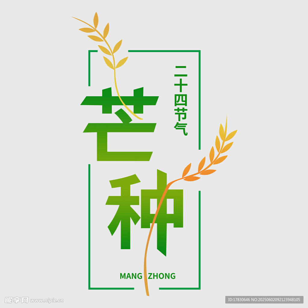 芒种