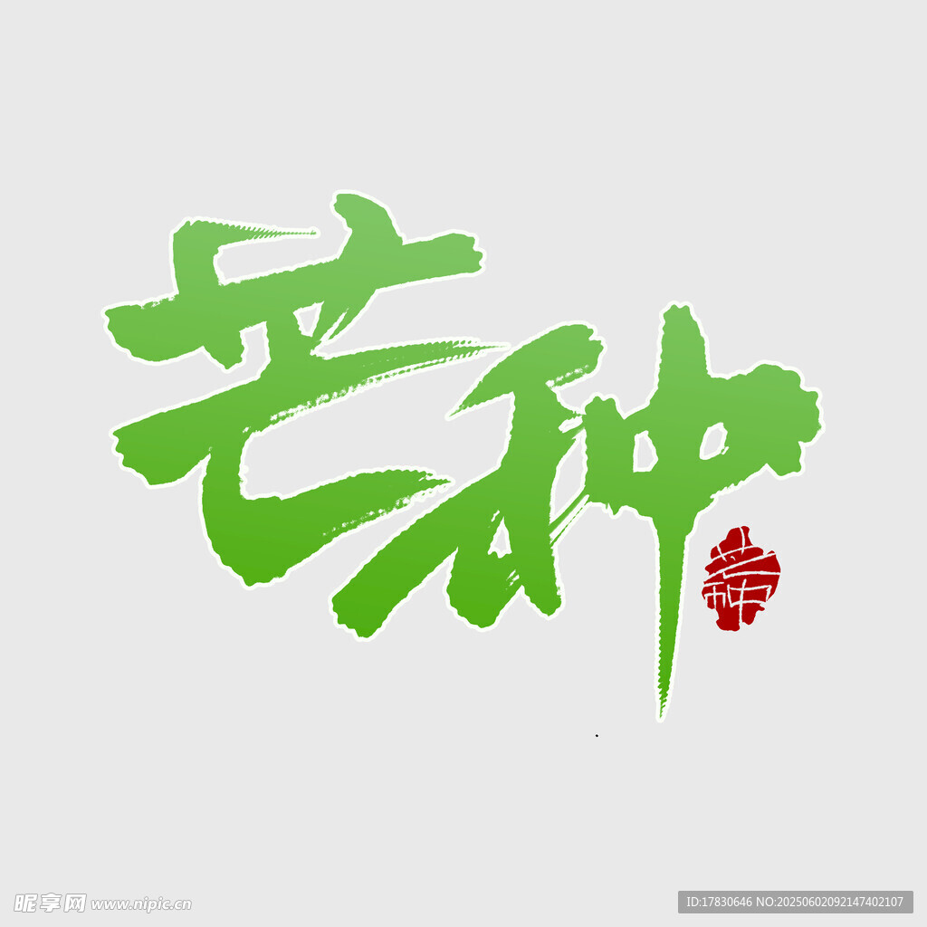 芒种