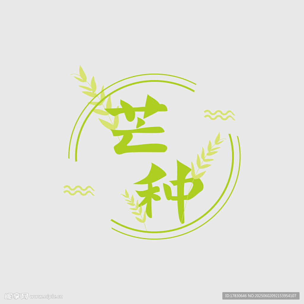 芒种