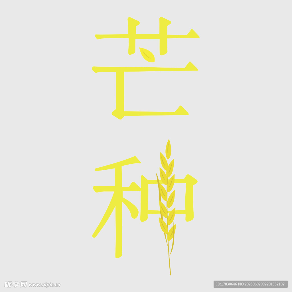 芒种