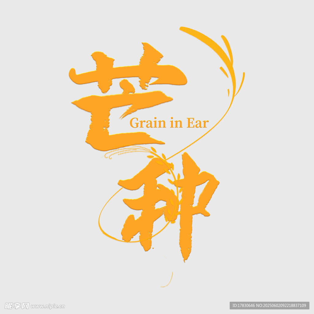 芒种