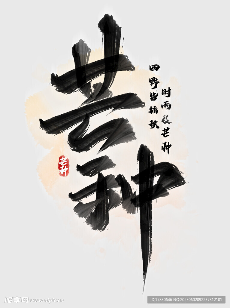 芒种