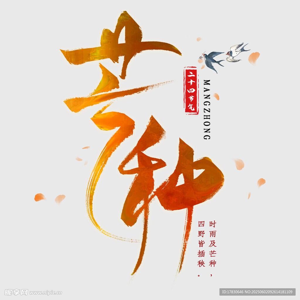 芒种