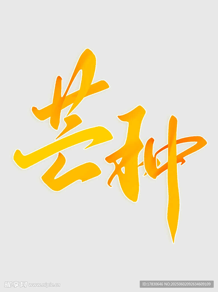 芒种