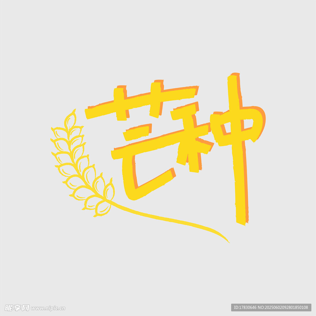 芒种
