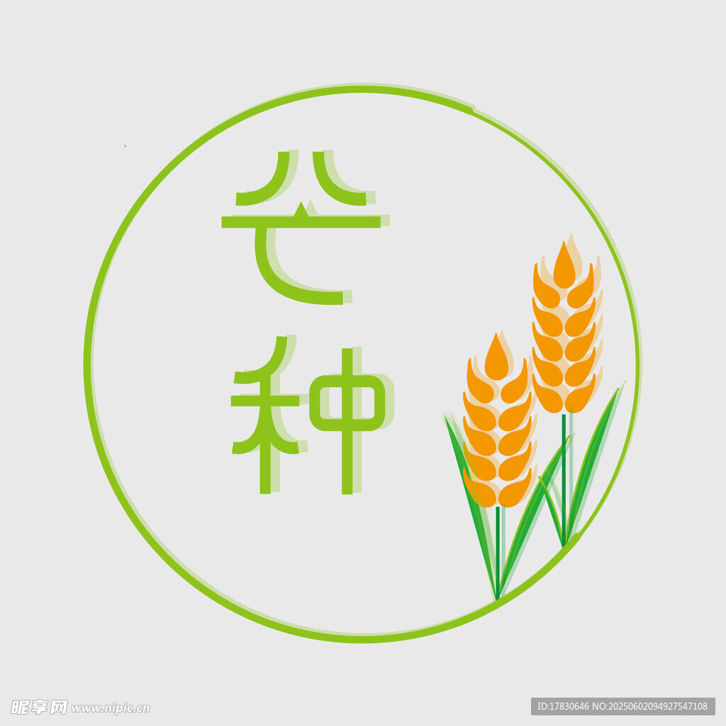 芒种