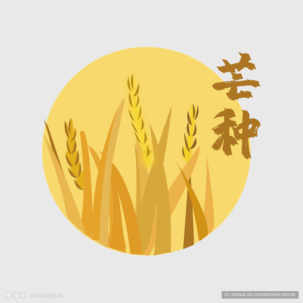 芒种