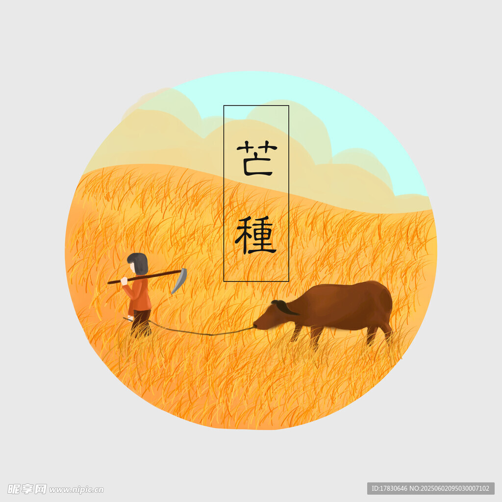 芒种