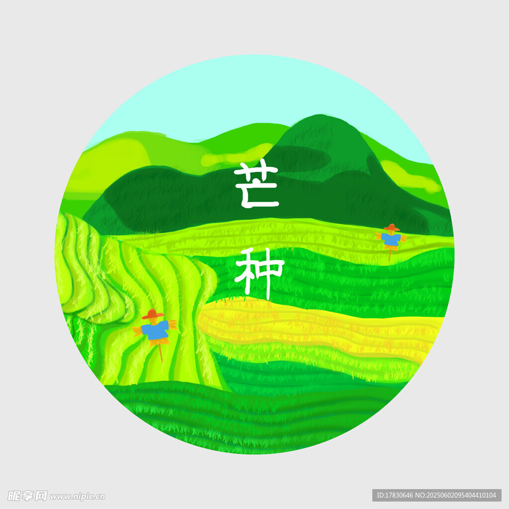 芒种