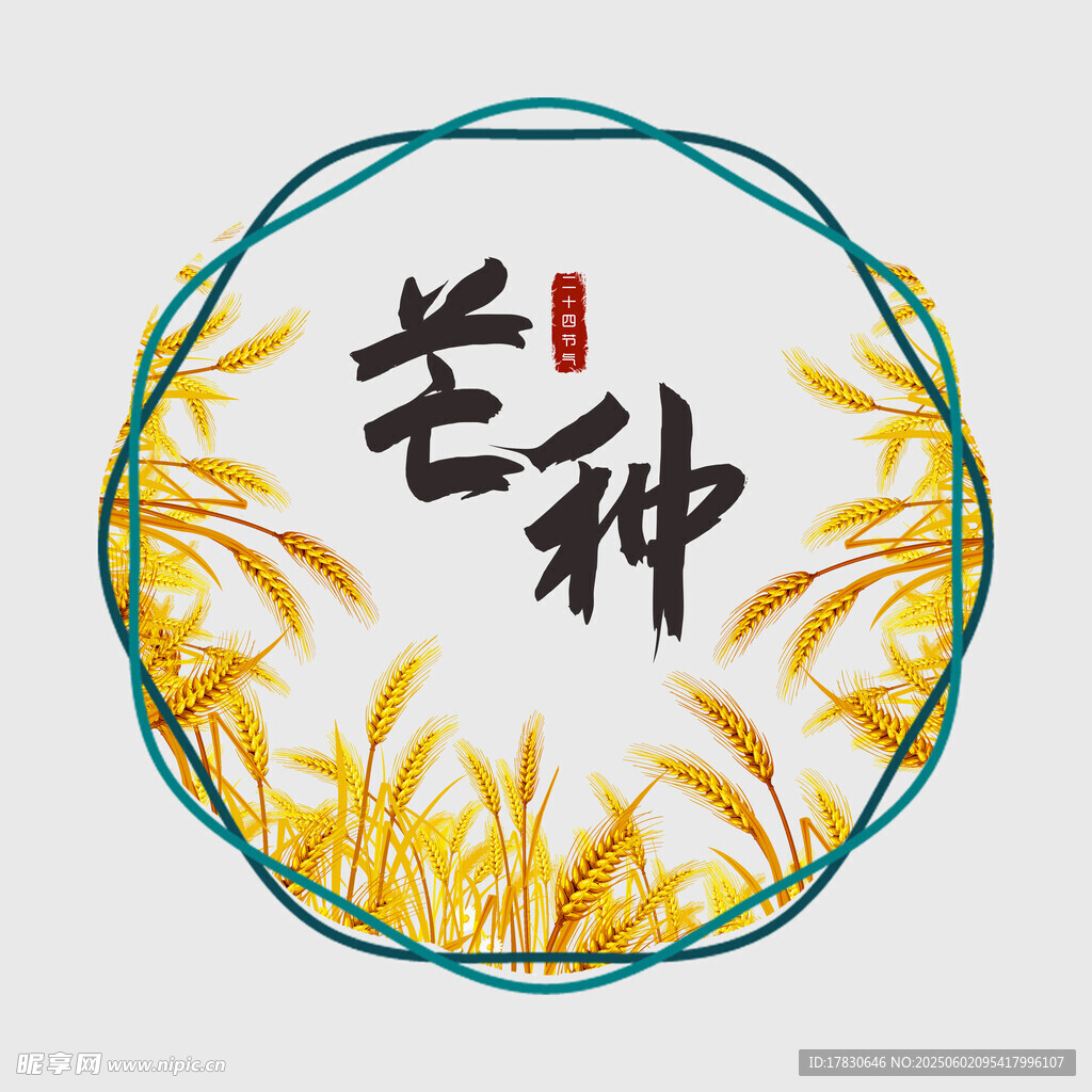 芒种
