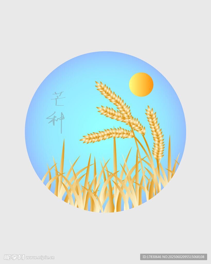 芒种