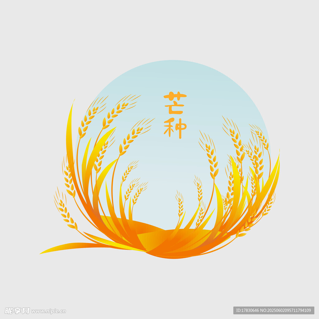 芒种