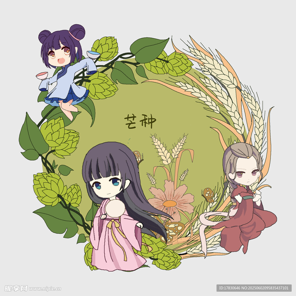 芒种