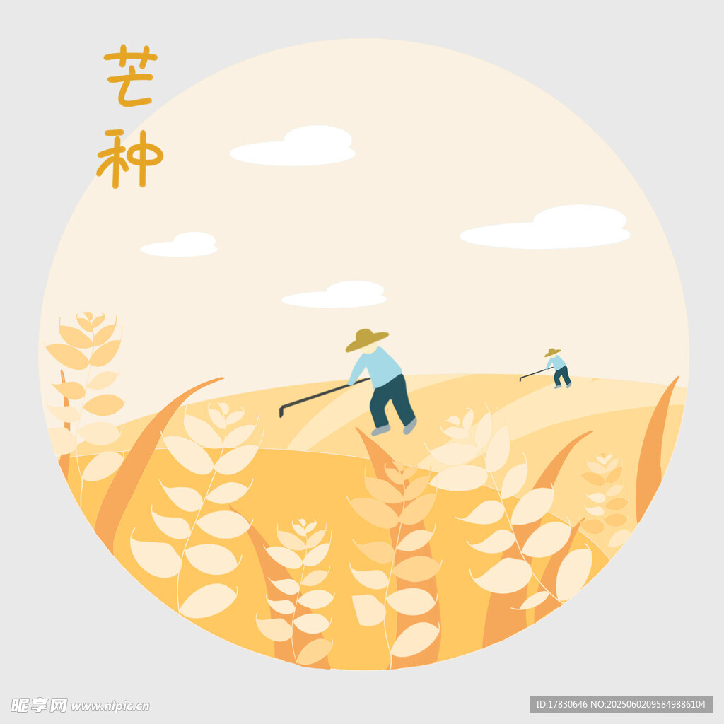 芒种