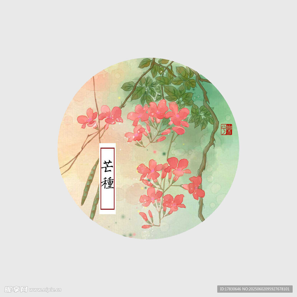芒种