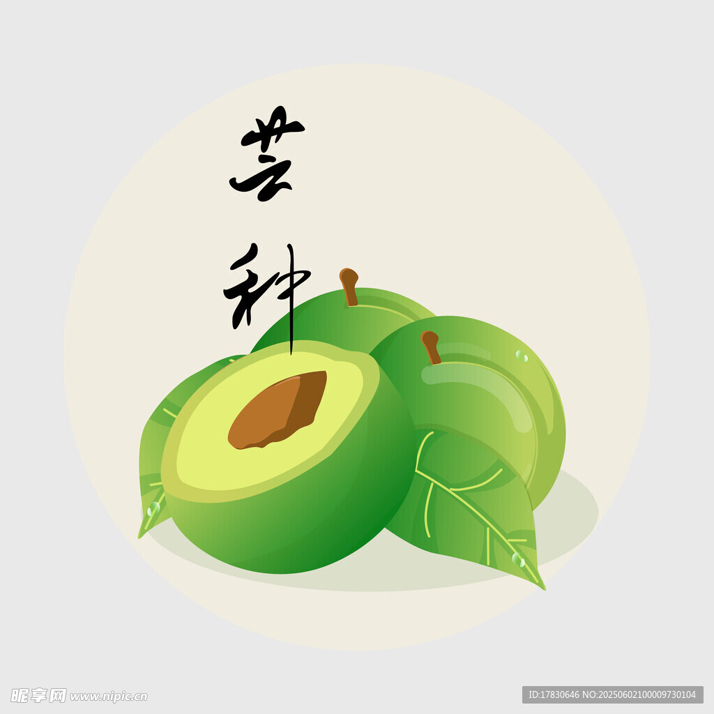 芒种