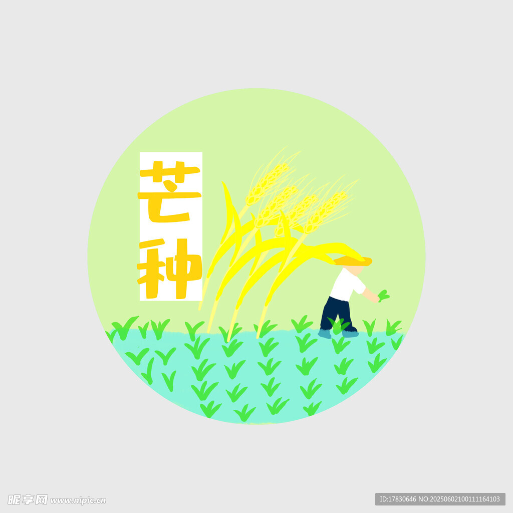 芒种