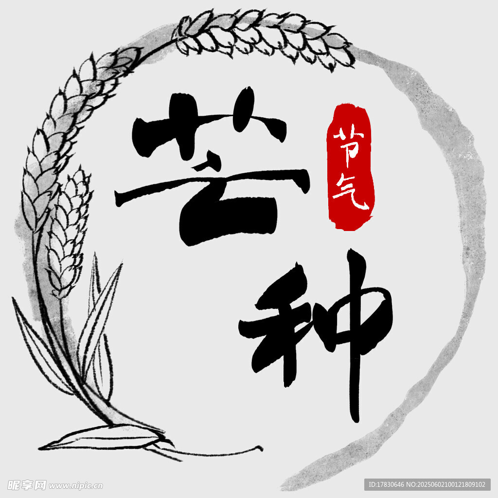 芒种