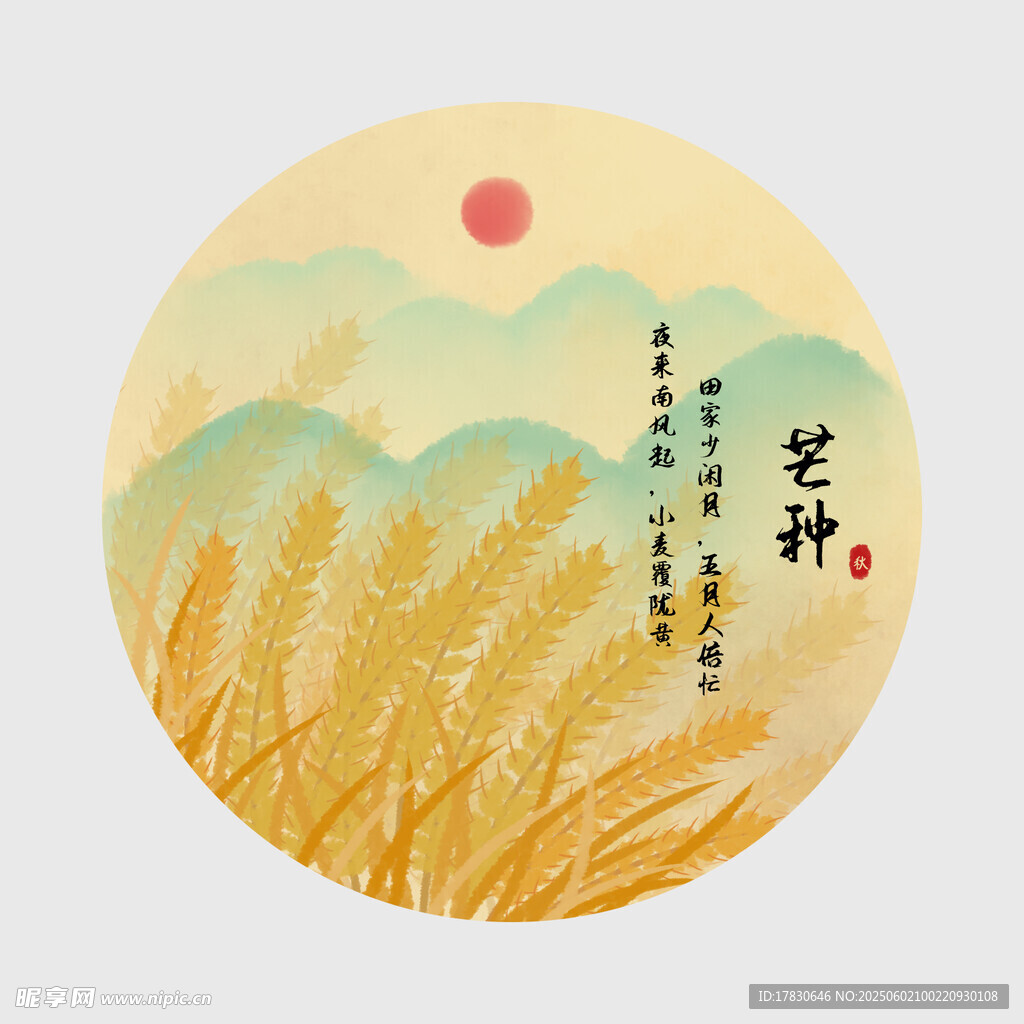 芒种
