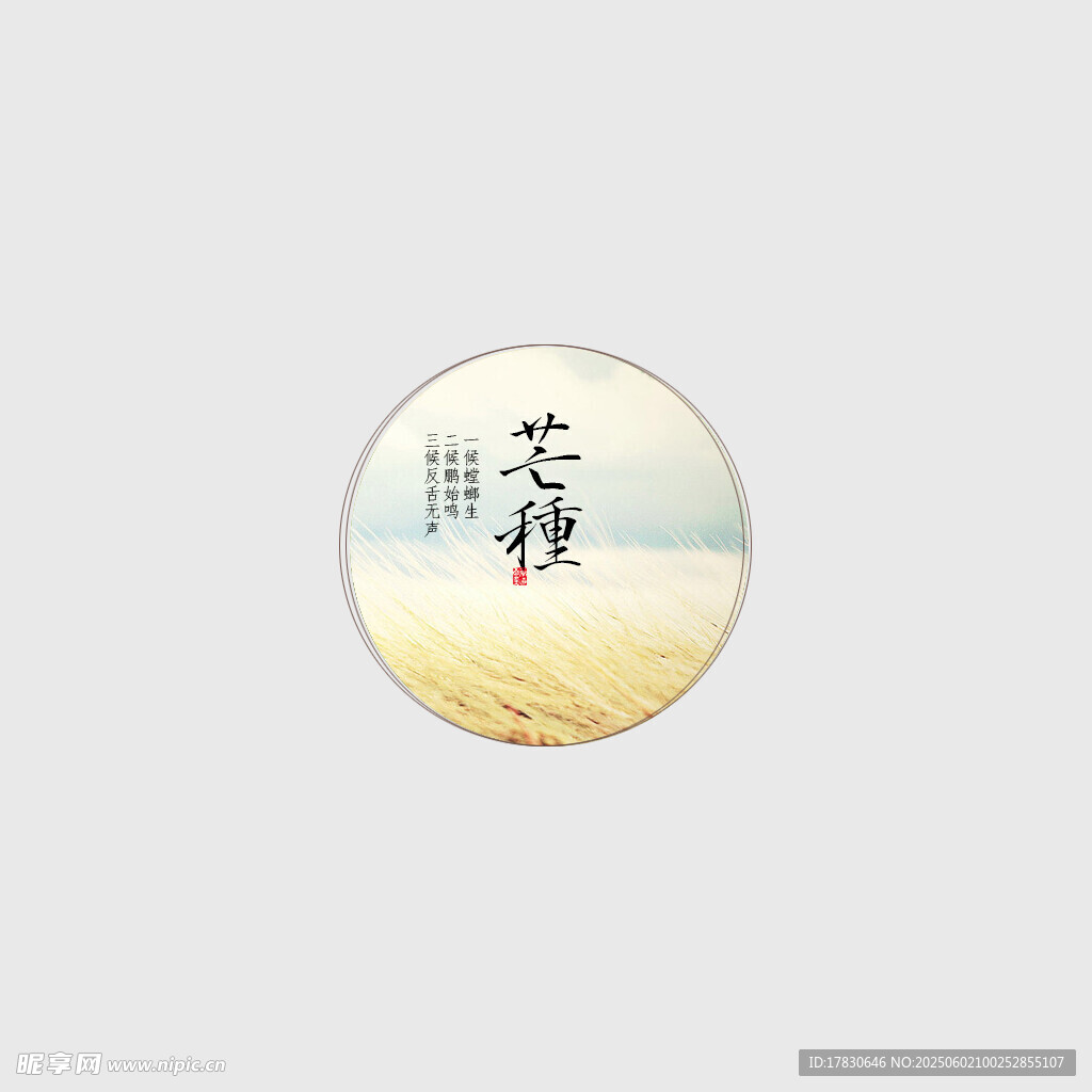 芒种
