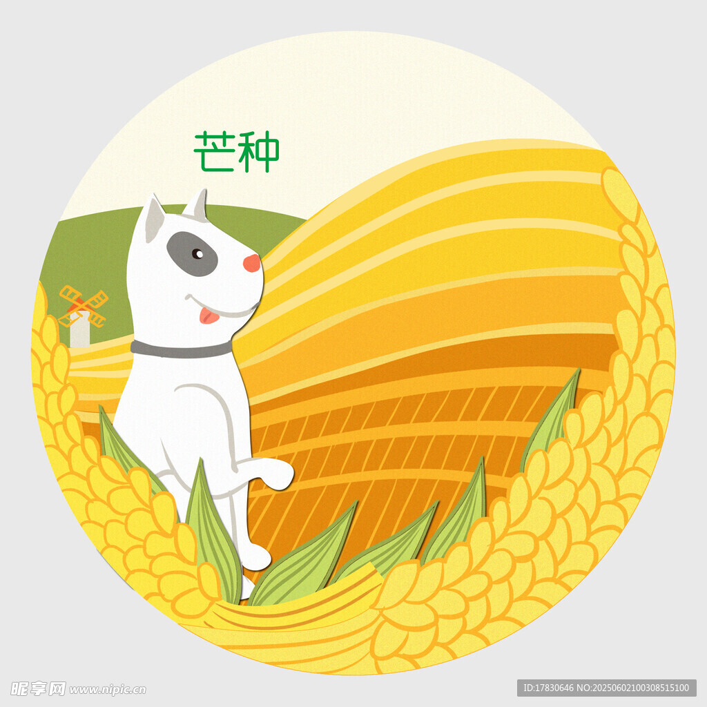 芒种