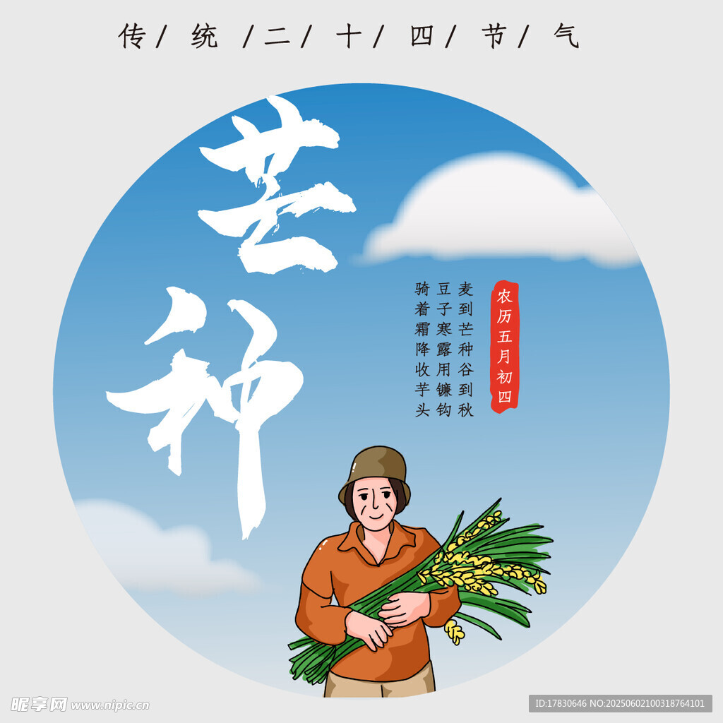 芒种