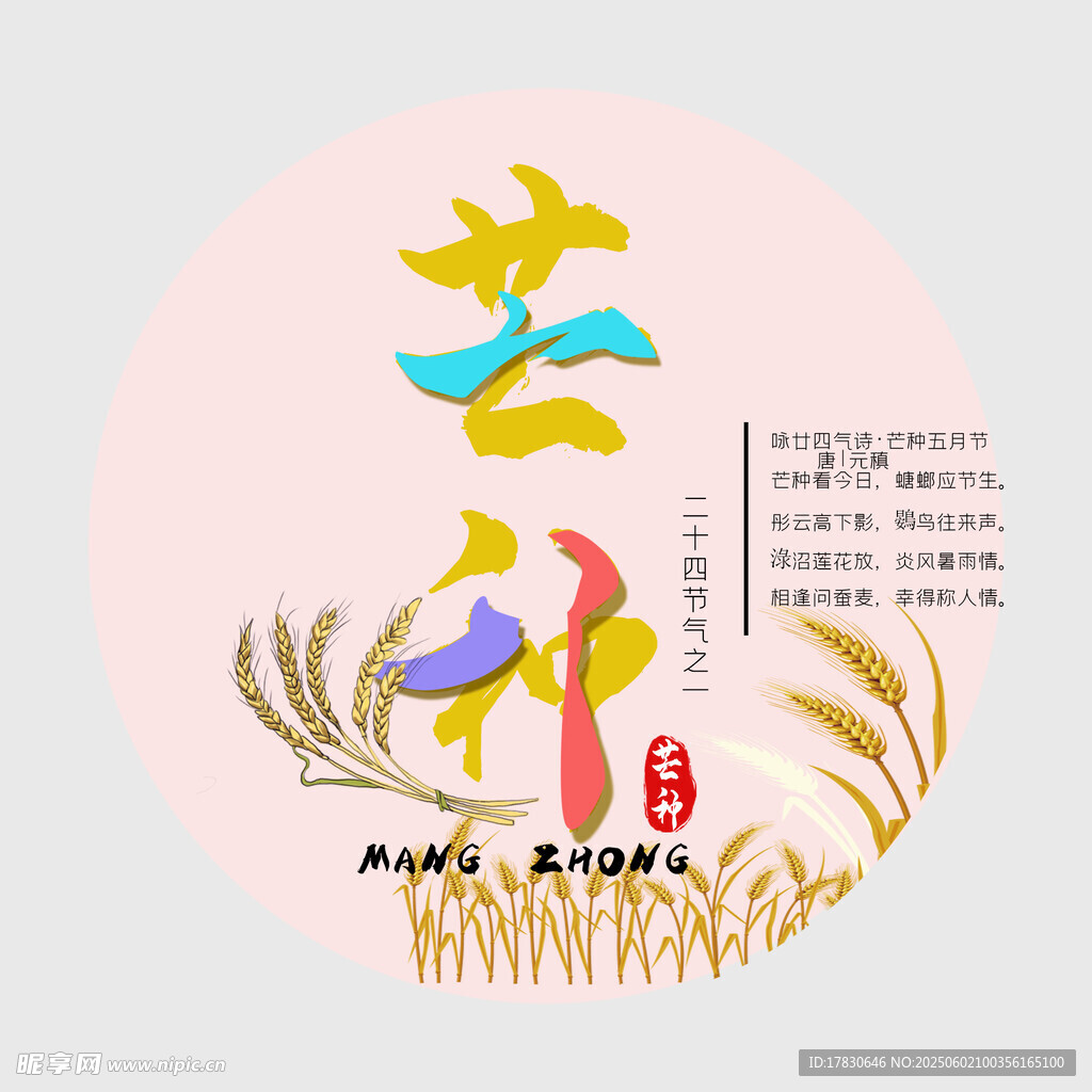 芒种