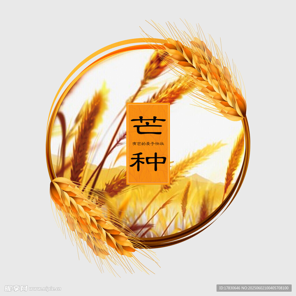 芒种