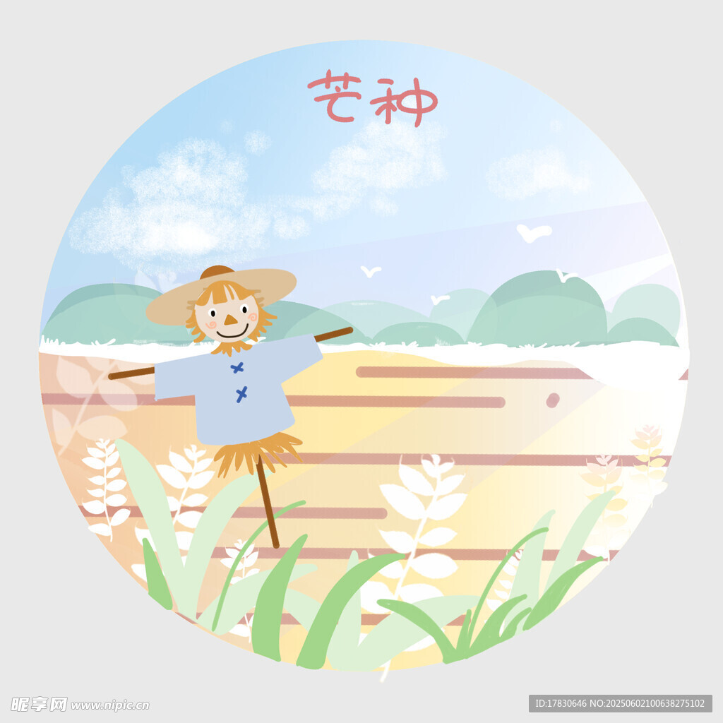 芒种