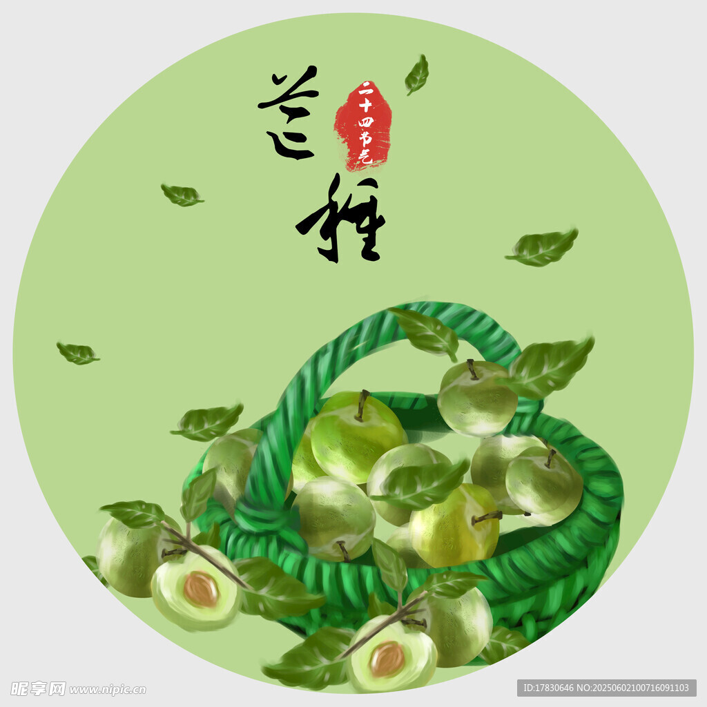 芒种